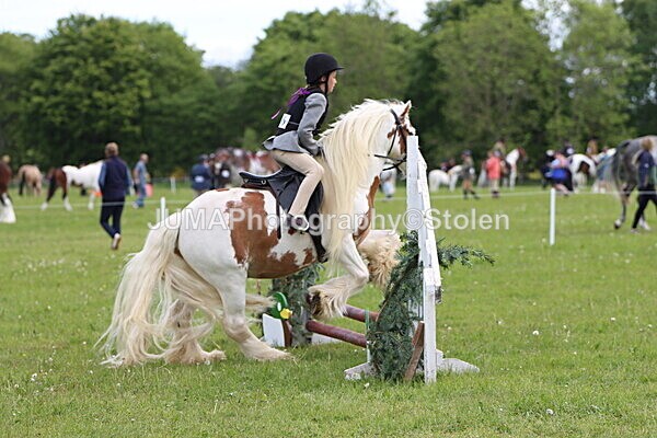 IMG_2447 - Working Hunter