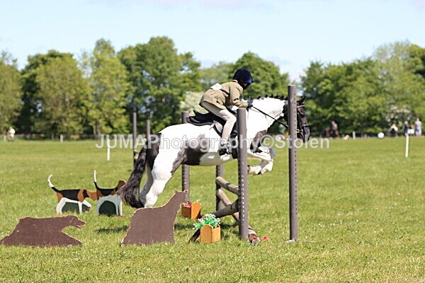 IMG_3808 - Working Hunter