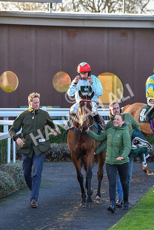 241123-Race 5-Bugise Seagull-7574 - Race 5