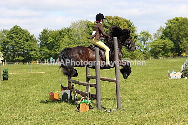 IMG_4296 - Working Hunter