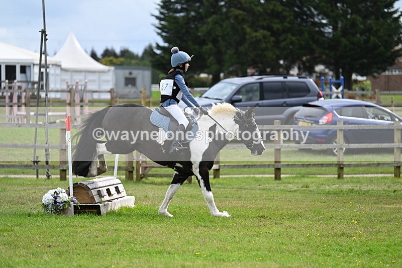 WJ7_9007 - 60cm Time 12:31 to 12:50