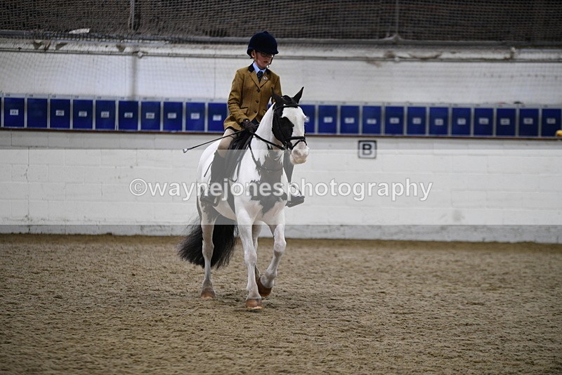 WJ5_7319 - Class 11 Ridden PC - RC Pony