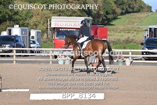 BPP_8134 - SHORT ARENA INTRO 1