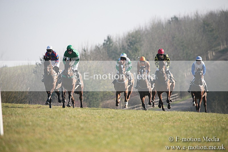 PtP 230219 324 - Vine & Craven Point-To-Point - Barbury 23/02/19