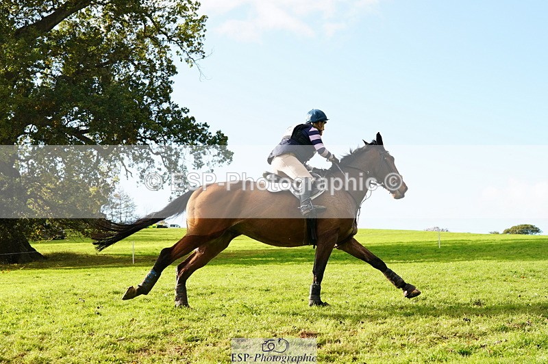 251025A-143036-21030 - G-514-Carolyn.Price With Trot Up