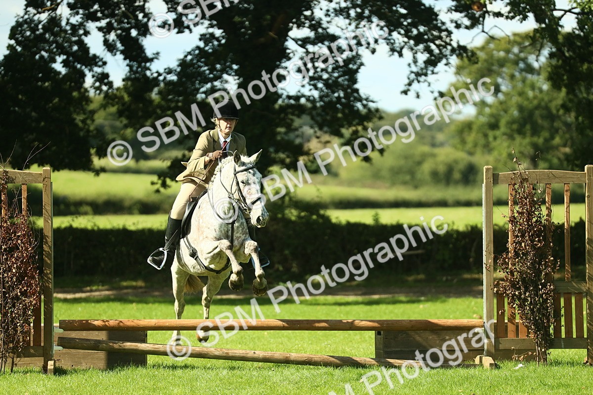 SBM_39251 - S29 - Novice & Newcomers Working Hunter Pony