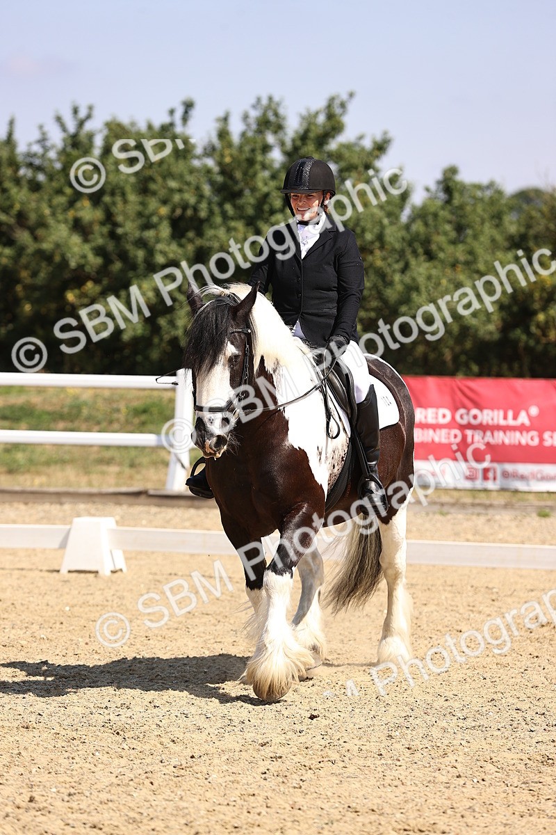 SBM_003683 - Intro 2