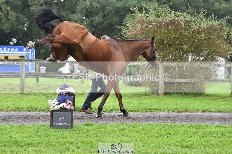 231018-123652-00399 - 048-MASTER.LOUIS-George.Vergerson-rowley-TrotUp