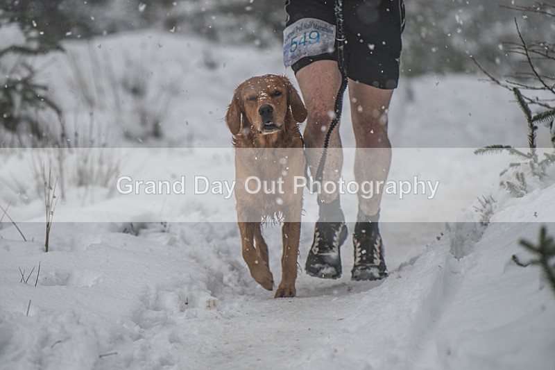 Glentress-1846 - High Terrain Events Glentress 42, 21 & 10K Trail Races Sunday 15th February 2026