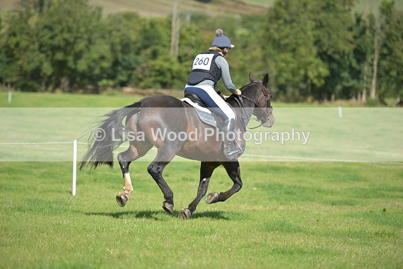 RAY_8884 - Class 2: Trekenning Open: Wall