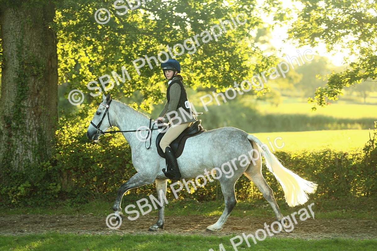 SBM_56476 - S14 - Riding Club Horse