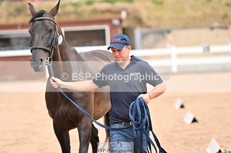 250716-150752-01665 - Trot Up 2.30 to 3.30