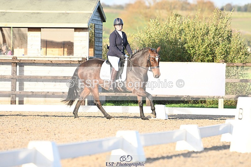 231105-151327-03029 - Cls 4 Novice 24 15.24 to 16.35 break