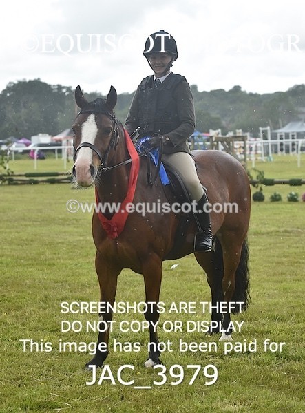 JAC_3979 - 55cm WORKING HUNTER