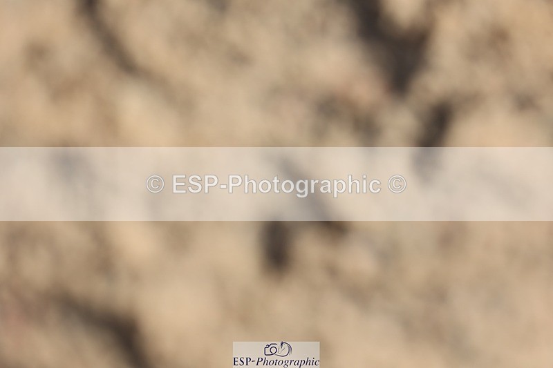 250629-174922-13769 - Cls 30 138cm HOYS Qualifier