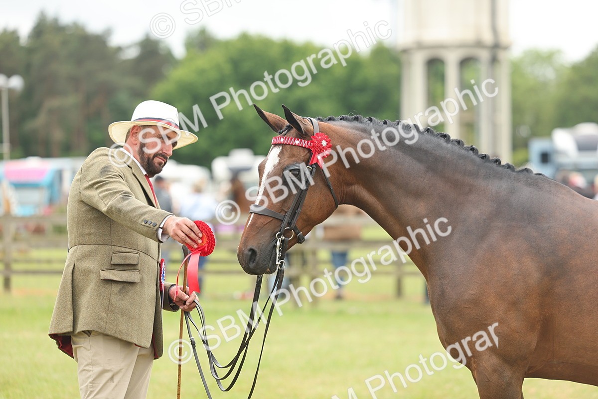 SBM_05599 - Class 68-73 - Riding Pony Breeding