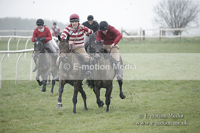 PtP 150320 0011 - New Forest Point-to-Point Larkhill 15/03/20