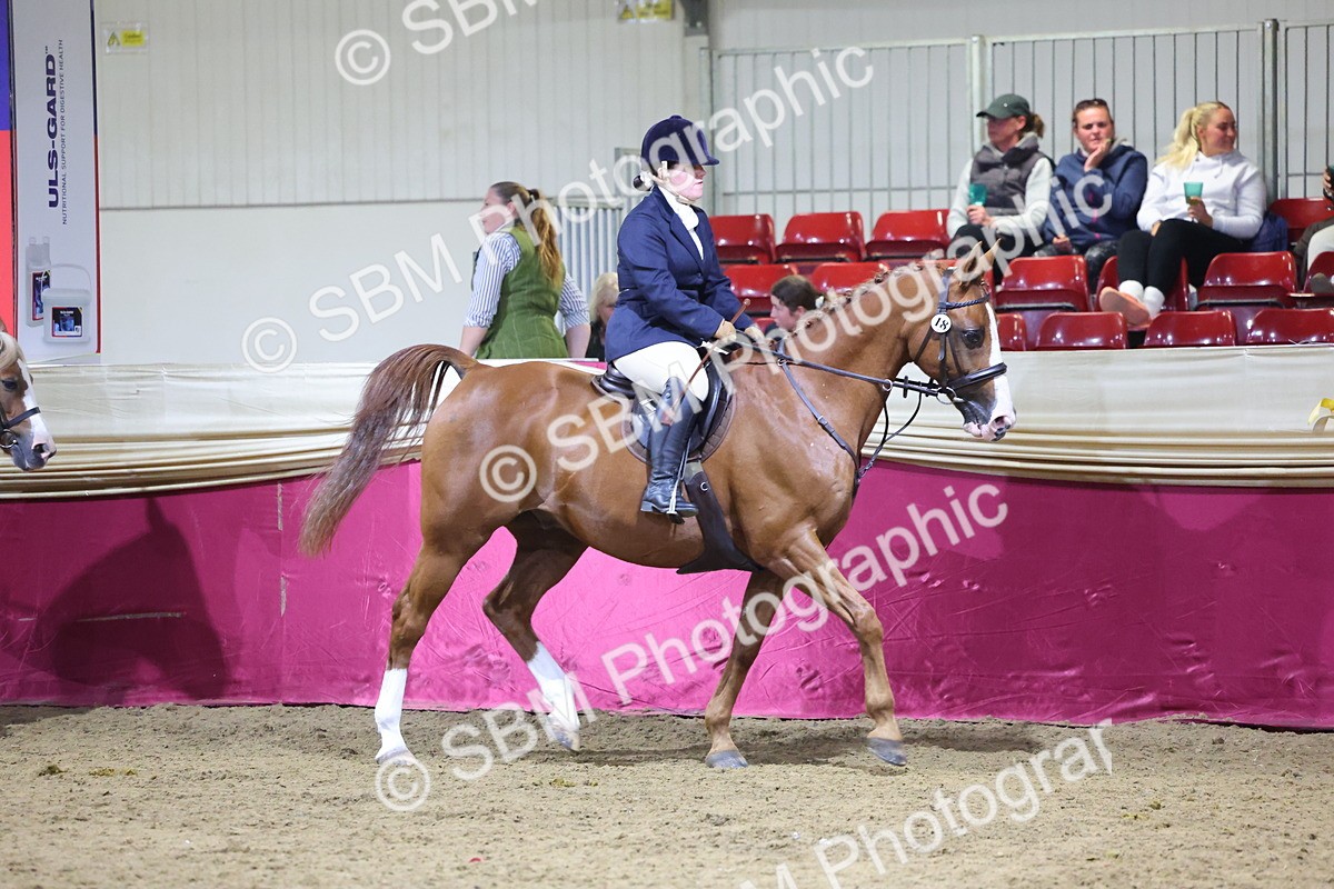 0B8A4576 - Class Q Style & Performance Champ