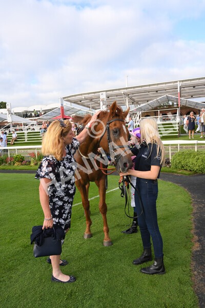 yr23072021r2-43 - Race 2 6.30pm IRE-Incentive It Pays To Buy Irish Stakes