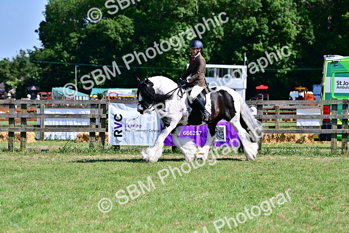 SBM_19385 - Class 101-102 - BSPS LIHS Performance Coloured Horse/Pony