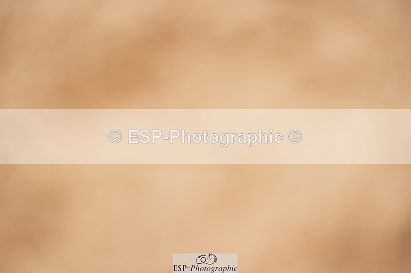 240524A-113302-03142 - Cls 14 Newcomers