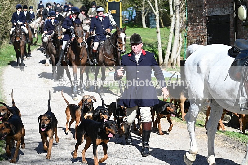 WJ7_9673 - Home for hunt tea !