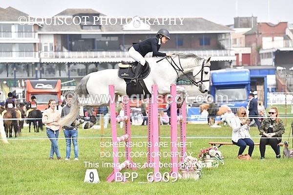 BPP_6909 - CLASS 3 RHS Fox Champ Qual (1.20m)
