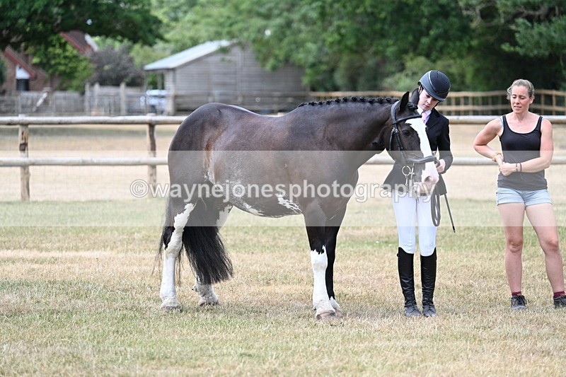 WJ7_1849 - Class 4a Prettiest Mare 14.2hh and over hand