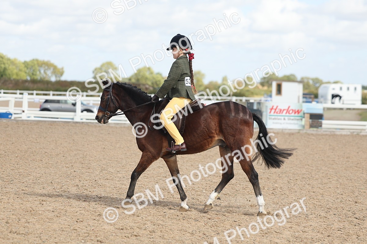 SBM_23136 - Class 806 - Young Rider 10ry and Under