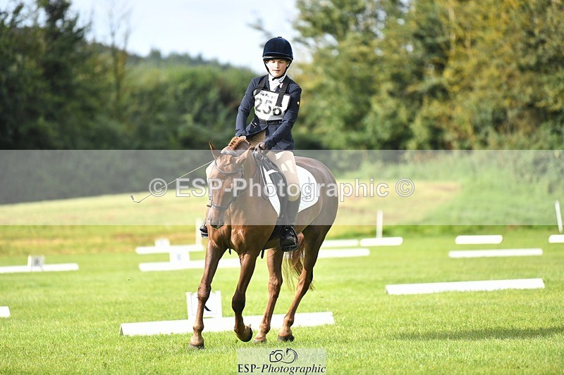 230826-094229-15200 - Sections C & D 9 to 10am