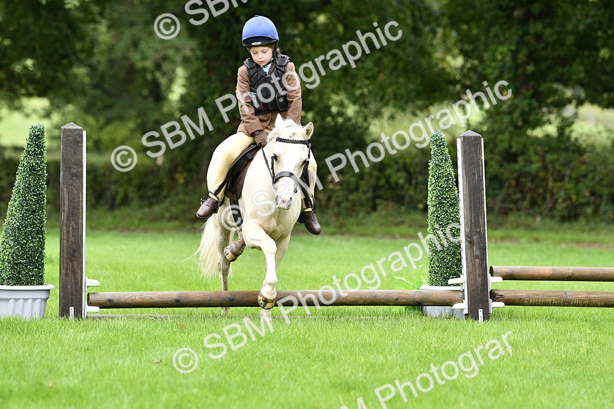 SBM_35465 - S30 - Nursery Stakes Working Hunter Pony
