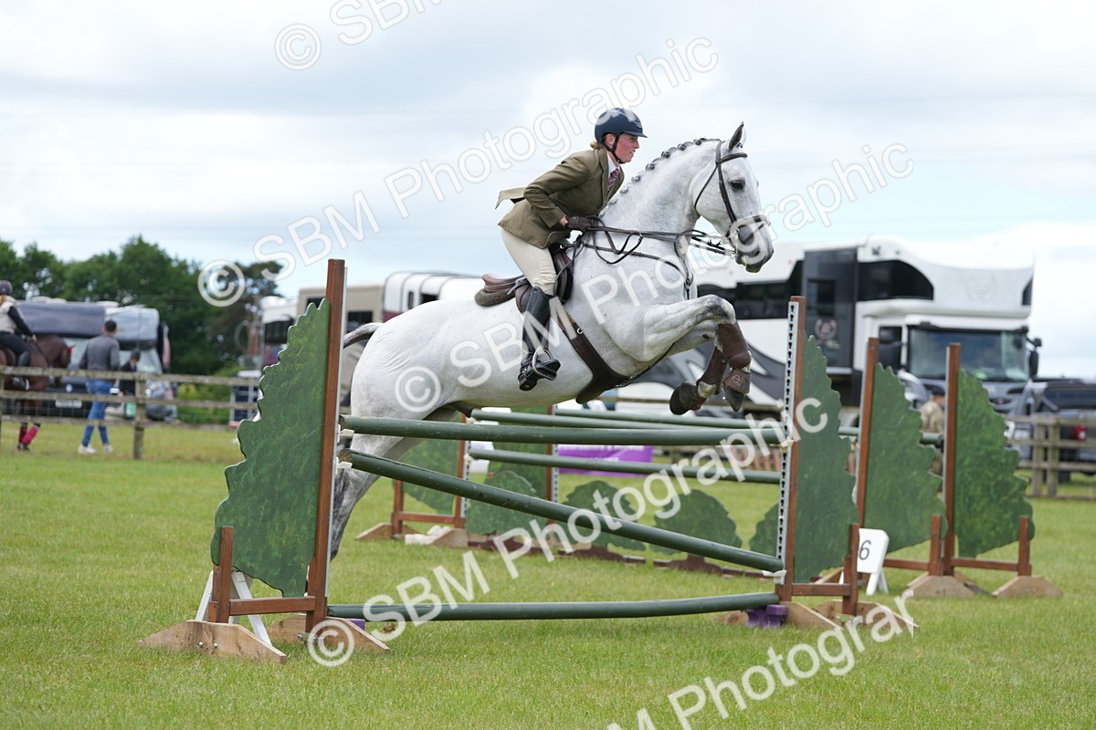 SBM_14983 - Class 100-102 - RIHS Working Hunter