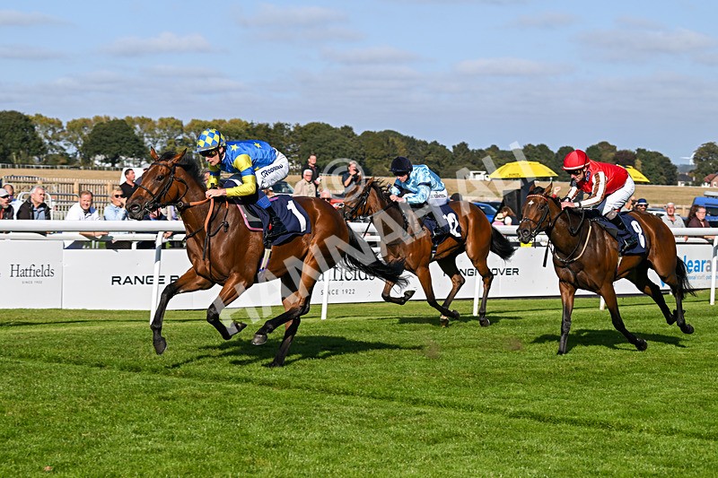 180924-Race 5-Blue Zodiac-4810 - Race 5