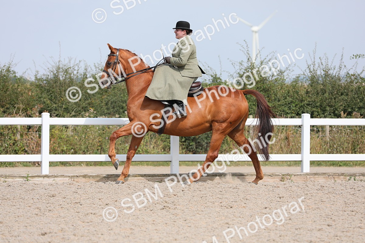 SBM_14561 - Class 211 Best Side Saddle Horse/Pony