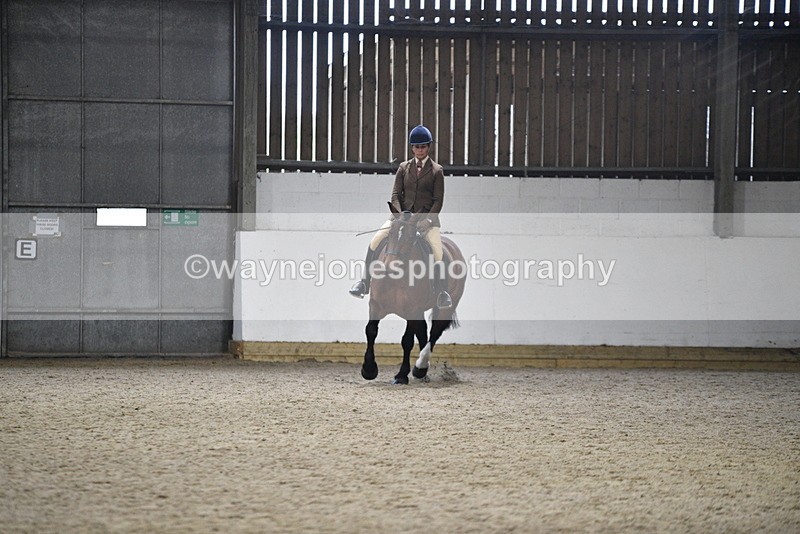 WJ5_8465 - Class 14 Novice Ridden/Rider