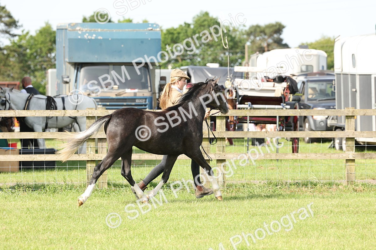 SBM_00782