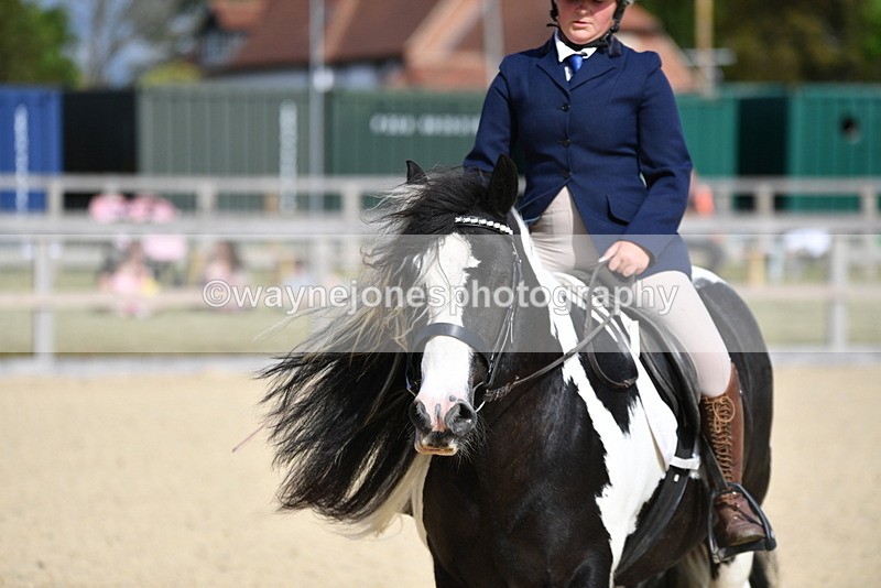 WJ5_7799 - Time 16:40 to 16:55