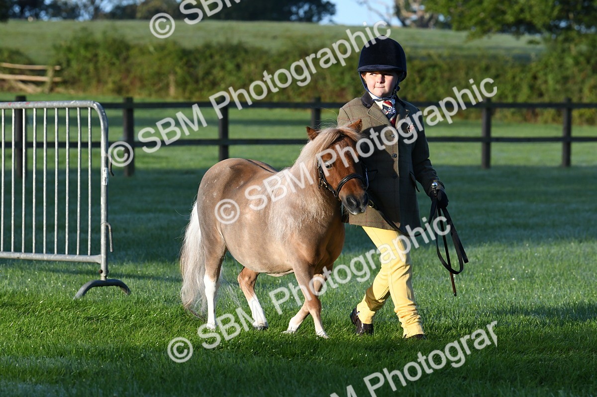 SBM_32485 - S15 - Condition & Turnout In Hand