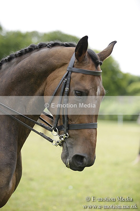 BVR160717-799 - Ring 1 BVRC Show 16/07/17