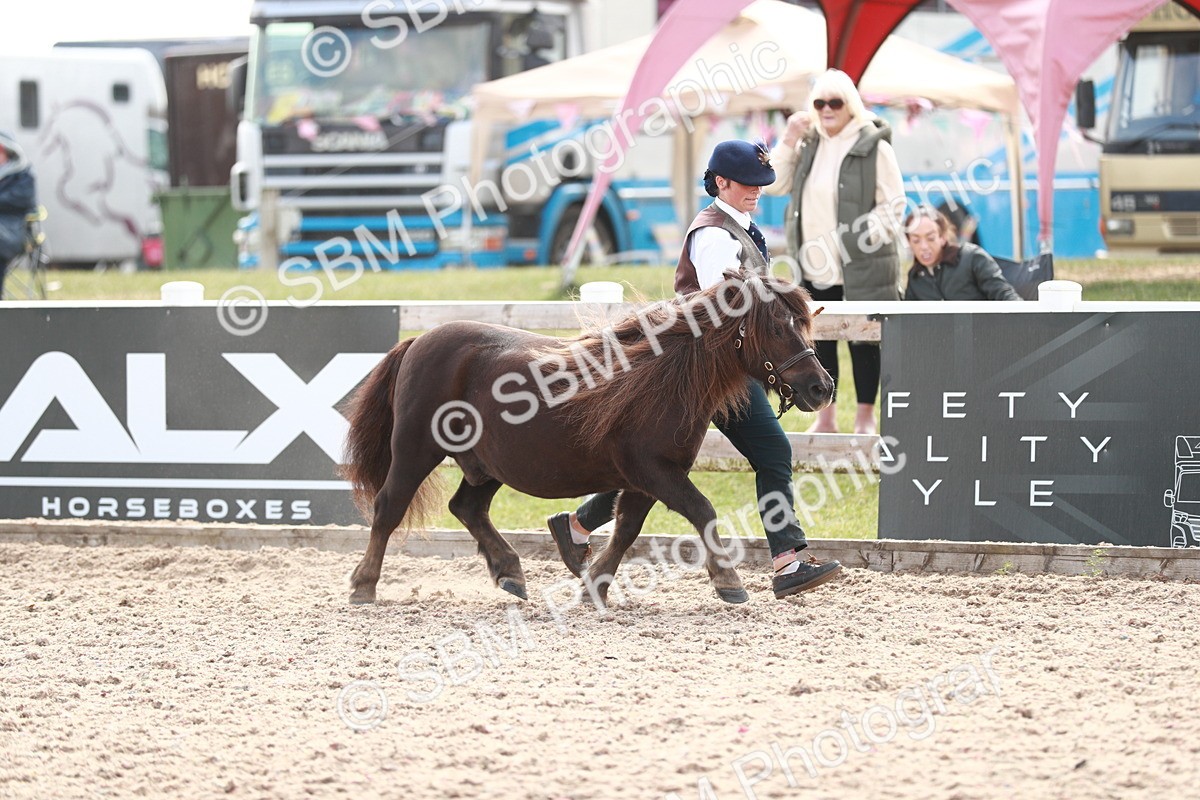 SBM_13869 - Class 209 IH Veteran Pony