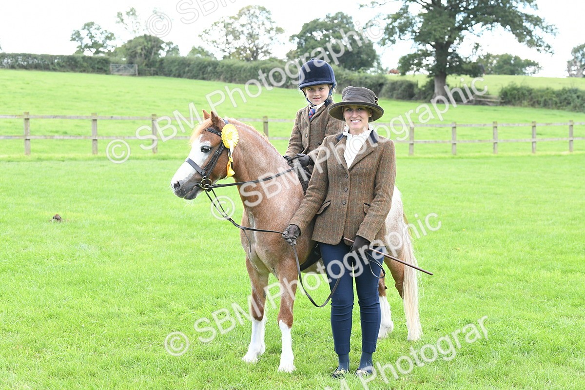 SBM_42692 - S20 - Lead Rein Mountain & Moorland Pony