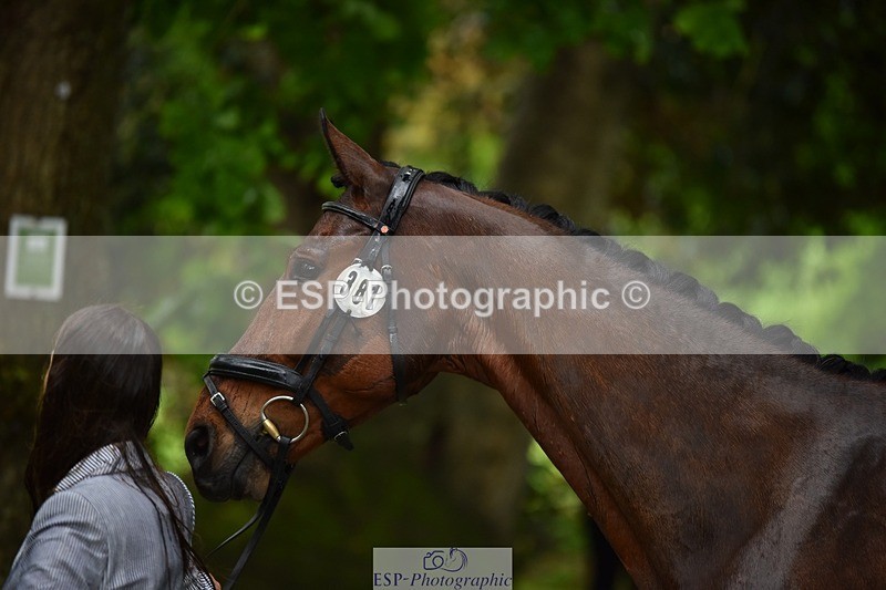 240522-153640-00477 - 381-MADFORD_LAW-Anna_Johannson