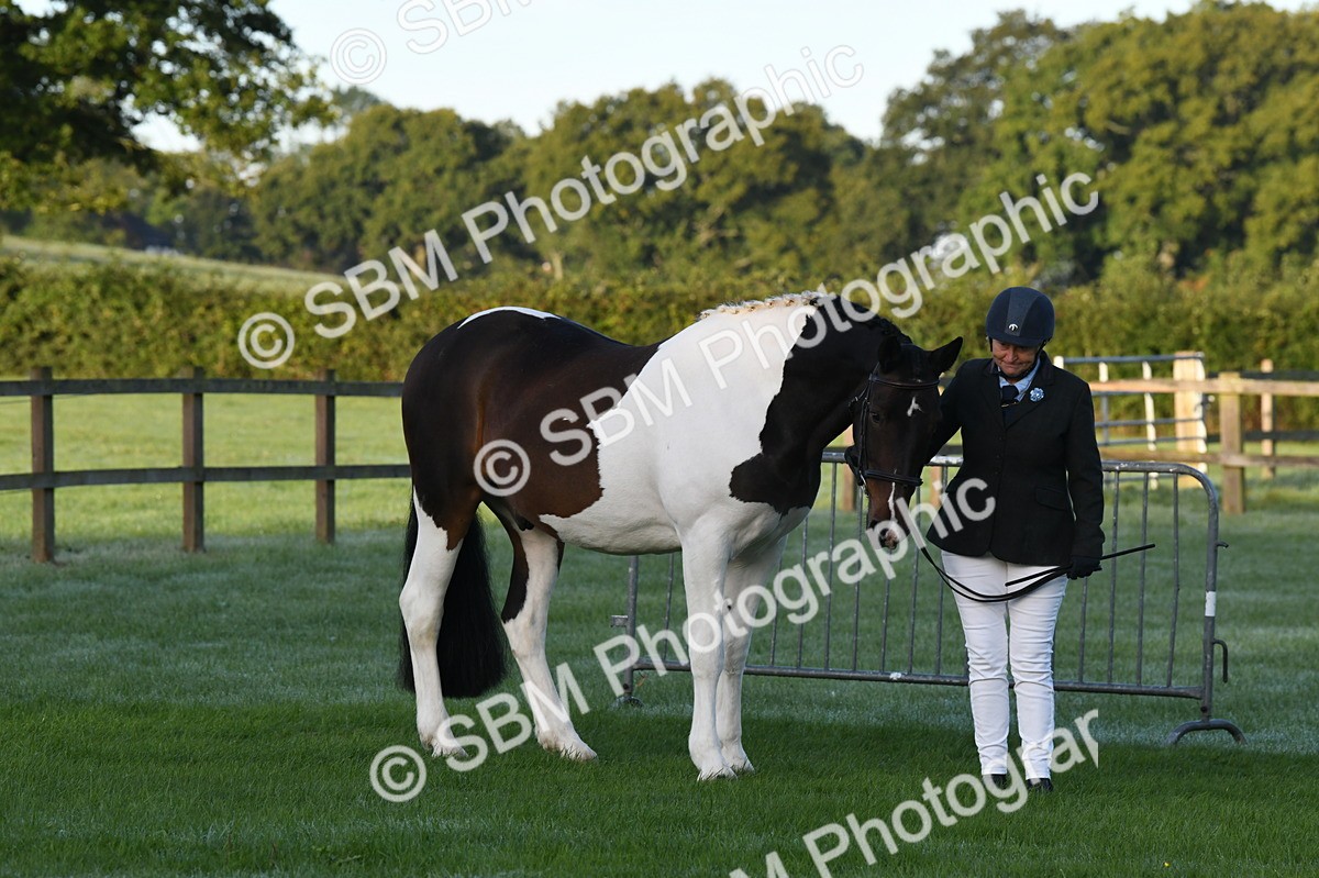 SBM_32581 - S15 - Condition & Turnout In Hand