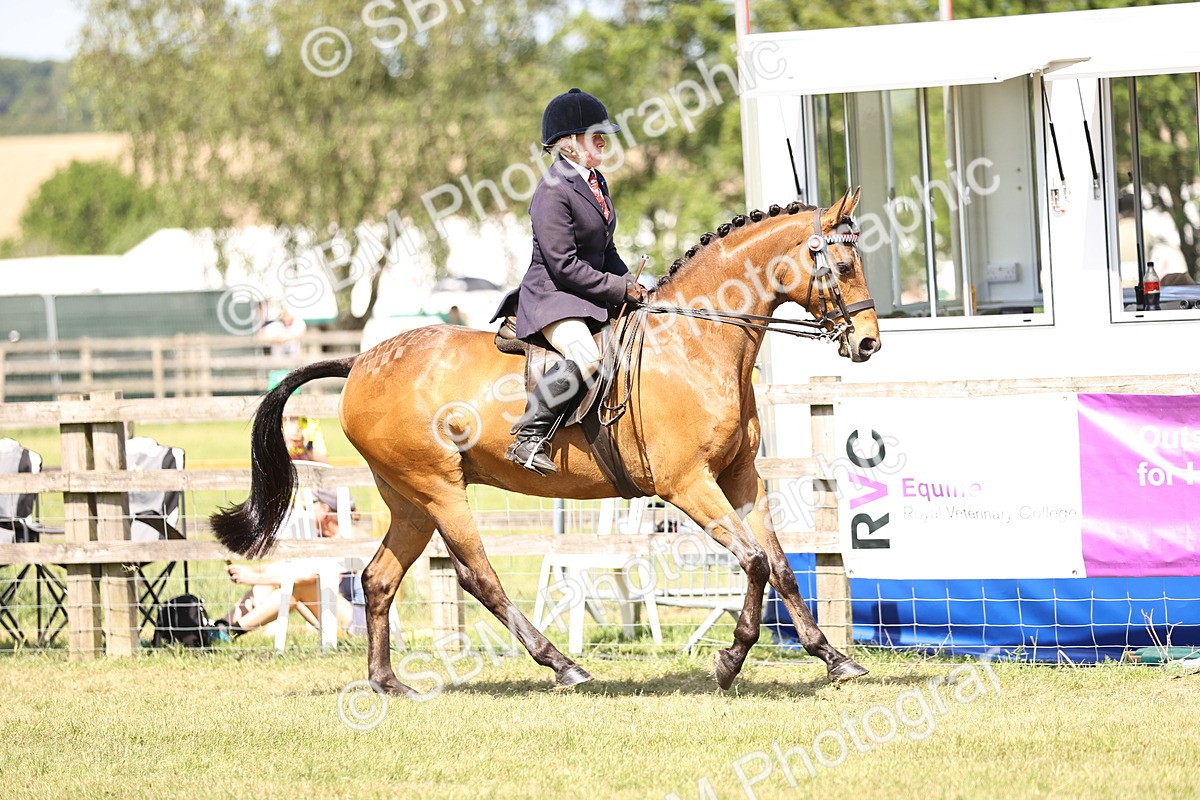 SBM_17997 - Class 81-83 - TSR Ridden Amateur of the Year - Horses
