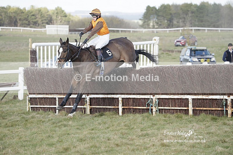 PtP 260223 968 - South & West Wilts Point-to-Point Larkhill 26/02/23