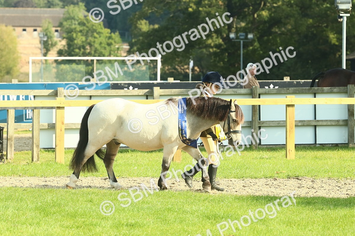 SBM_61076 - Starter Supreme Championship