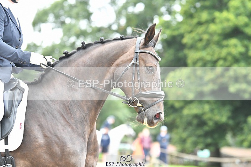 230812-093836-02829 - Cls 6 Novice Silver Start to 10.20 break