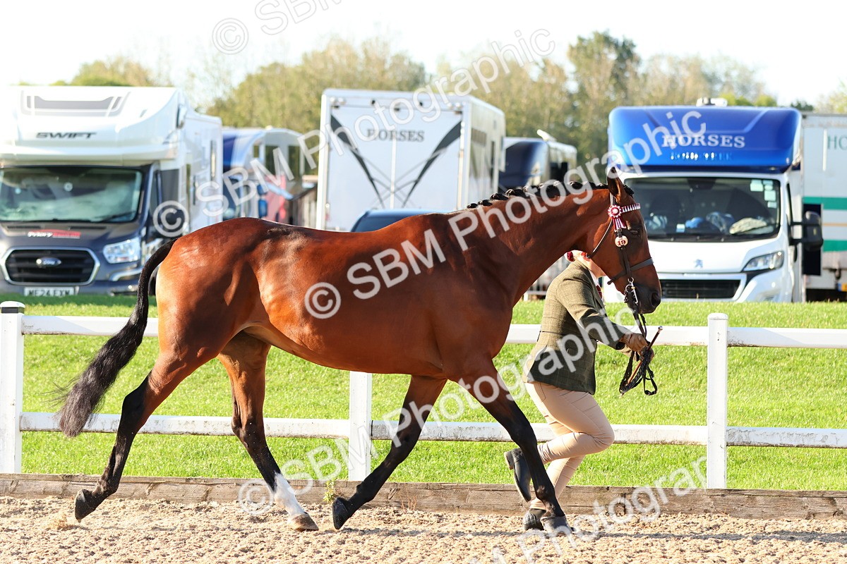 SBM_07996 - Class 201 - Best Turned Out - IH