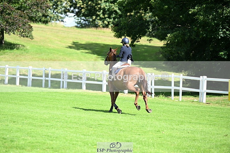 250703A-101317-02531 - Cls 1 Snr Foxhunter