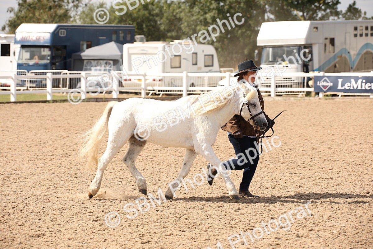 SBM_04533 - Class 20 IH Veteran